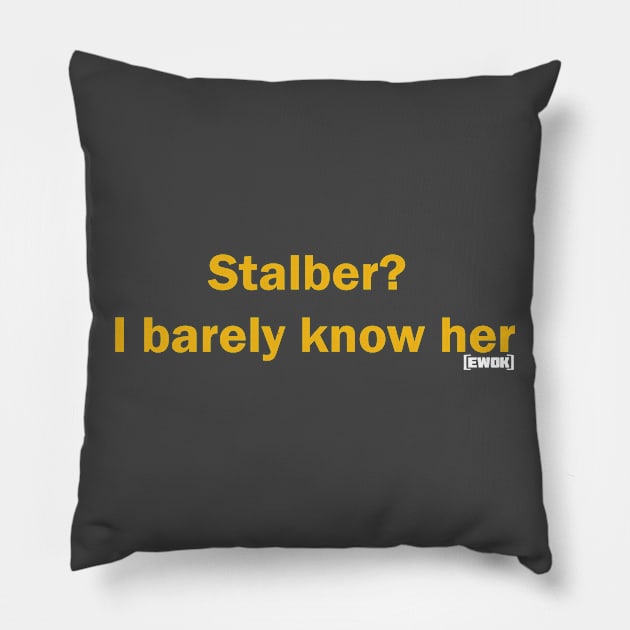 I barely know her! Pillow by EwokSquad