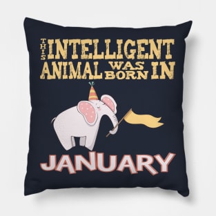 January Birthday Gift Shirt For Intelligent Nerds Pillow