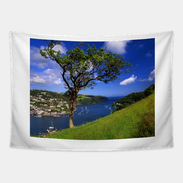 River Dart Estuary & Kingswear Tapestry by galpinimages