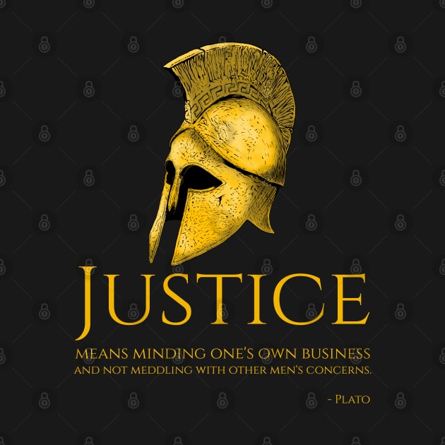 Ancient Greek Political Philosophy Plato Quote by Styr Designs