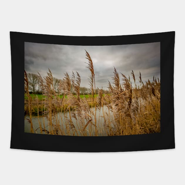 River side reeds in the Norfolk Broads National Park Tapestry by yackers1