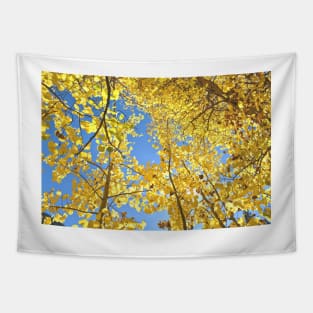 Golden Fall Aspen Trees in Colorado Tapestry