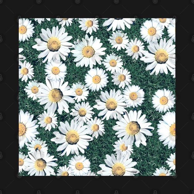 Daisy Blossom Seamless Pattern with Grass. Meadow by ilhnklv