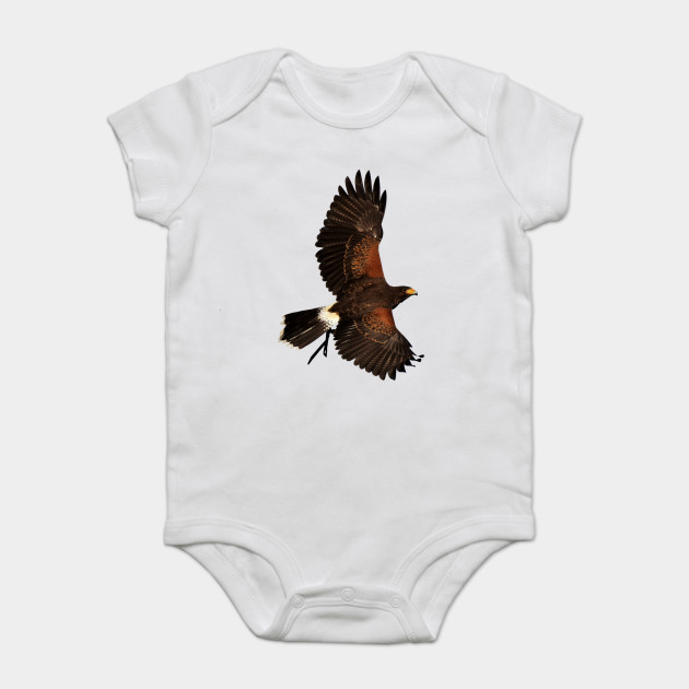 Adler Eagle Freedom Courage Spirit Power Truth Liberty Eagle