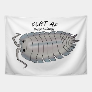 P.spatulatus Flat AF Tapestry