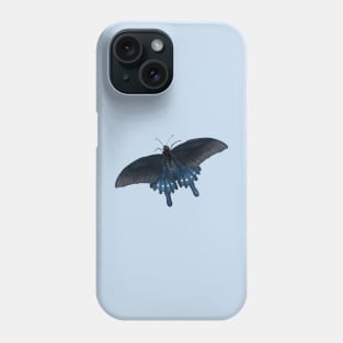 blue pipevine swallowtail butterfly Phone Case