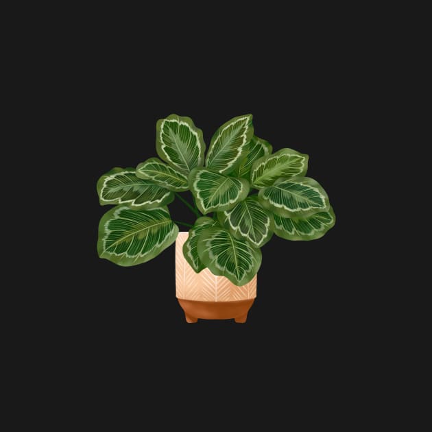 Calathea Medallion- Prayer Plant, Potted Plant Illustration by gusstvaraonica