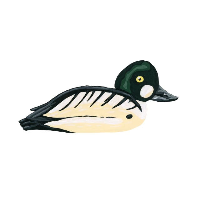 Common Goldeneye Duck by paintedpansy