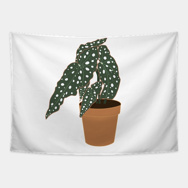 Begonia Maculata Plant – Clay Pot Tapestry by Raquel’s Room