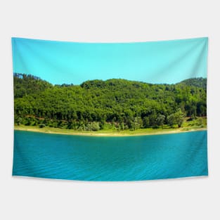 Scenery at Gerosa Lake with light blue waters rippling in front of the green shore Tapestry