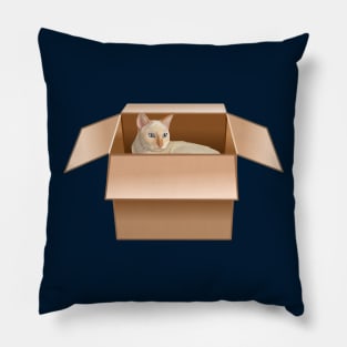 Flame Point Siamese Cat Loves Box Pillow