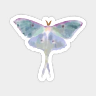 Night luna moth Magnet