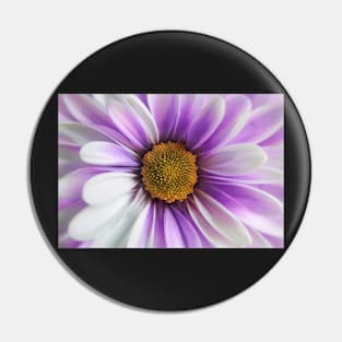 Purple Daisy Gerbera Pin