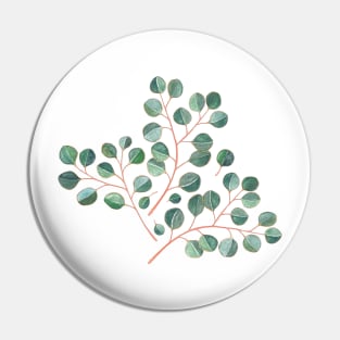 Simple Silver Dollar Eucalyptus Leaves on White Pin