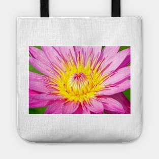 A water lily in close up Tote