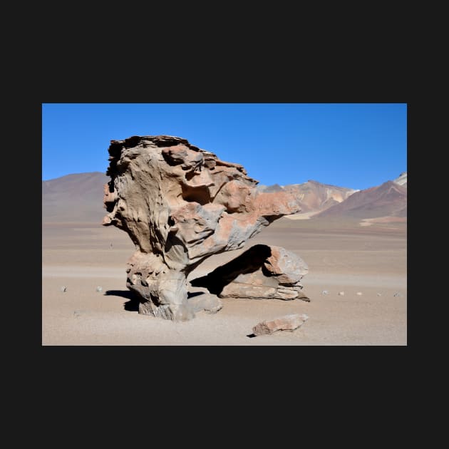 Bolivie - Salar d'Uyuni, arbre de pierre by franck380