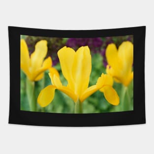 Iris  &#39;Golden Beauty&#39; Tapestry