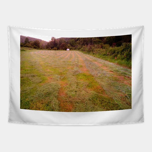 dbs Fresh field Tapestry by pcfyi