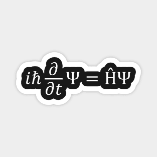 the Schrödinger Equation Magnet