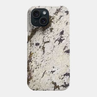 Moss Rock Texture Pattern Phone Case