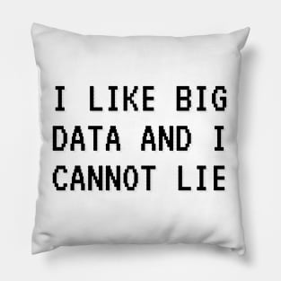 I LIKE BIG DATA AND I CANNOT LIE Pillow