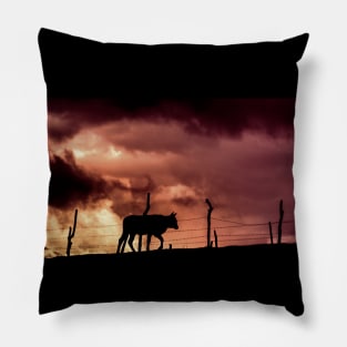 silhouette of a bull in a sunset Pillow