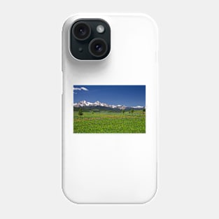 850_1899 Phone Case