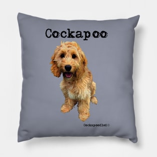 Golden Apricot Cockapoo / Spoodle and Doodle Dog Pillow