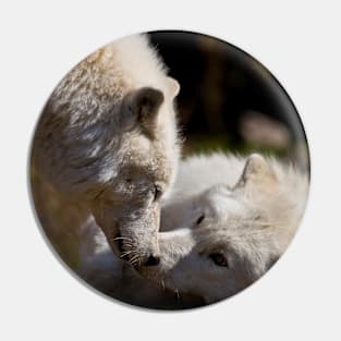 Arctic Wolves Pin