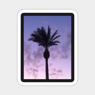 Tropical Palm Tree with beautiful sunset in violet, blue and pink Magnet