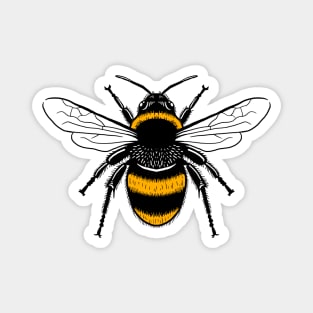 Worker Bee Symbol - Manchester Bee Magnet