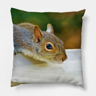 North American Ground Squirrel Pillow