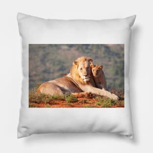Lion father and son Pillow