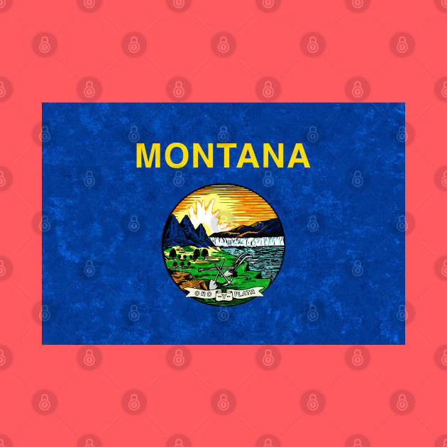 State flag of Montana by Enzwell