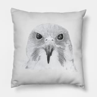 Peregrine Falcon Pillow