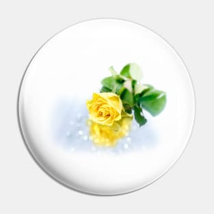 Bright yellow rose with water droplets. Pin