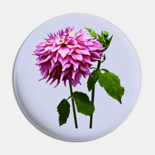 One Pink Dahlia and Buds Pin