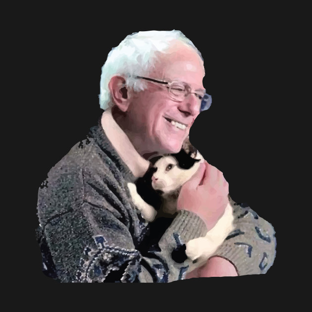 Discover Bernie Hugging Cat - Bernie Sanders - T-Shirt