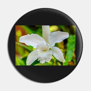 orchid Pin