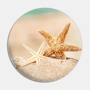 Starfish and seashell Pin