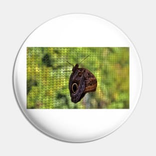 Owl Butterfly Pin