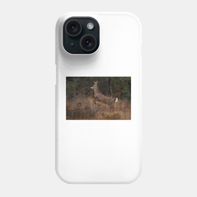 Early Morning Buck - White-tailed Deer Phone Case by Jim Cumming