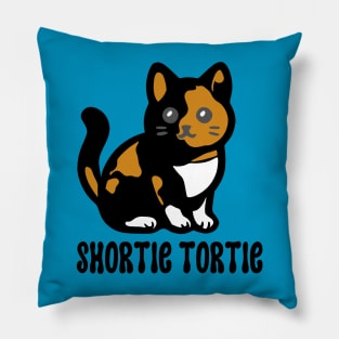 Shortie Tortie Pillow