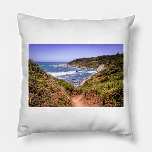 Palmer's Point view Pillow