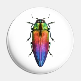 Jewel Beetle Digital Painting Pin