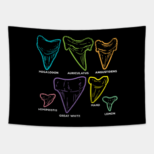 Shark Tooth types Fossil Hunting Tapestry