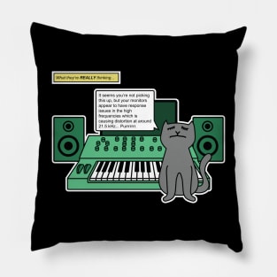 Cat on Music Studio Desk with Analogue Synthesizer Pillow