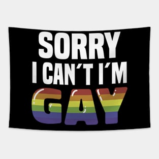 Pride Gay LGBT Lesbian Rainbow Flag Bisexual Queer Tapestry