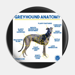 Greyhound Anatomy Pin