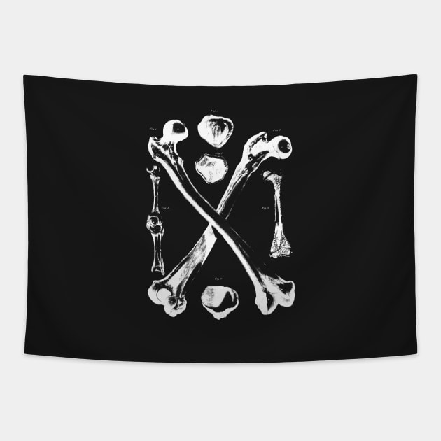 Bones Tapestry by Woah_Jonny